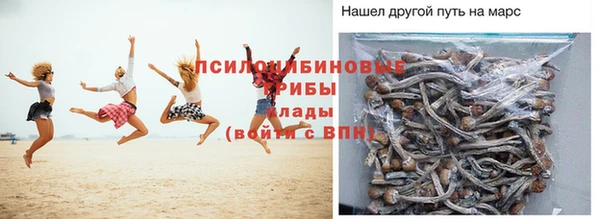 ALPHA PVP Алзамай