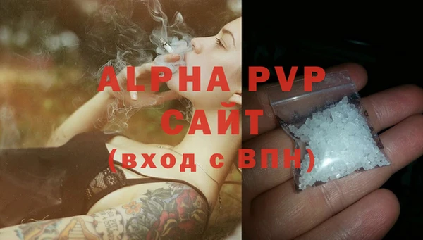 гашик Абаза