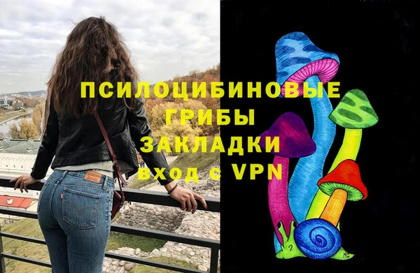 гашик Абаза