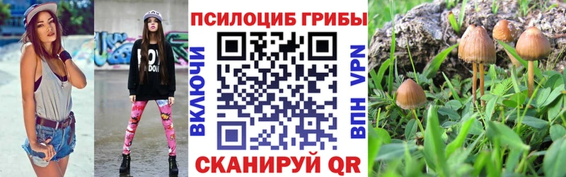 Галлюциногенные грибы ЛСД  Черемхово 